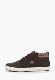 Ботинки Lacoste AMPTHILL TERRA 319 1 CMA