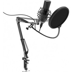 Микрофон Ritmix RDM-180 black
