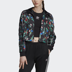 Олимпийка Bellista adidas Originals