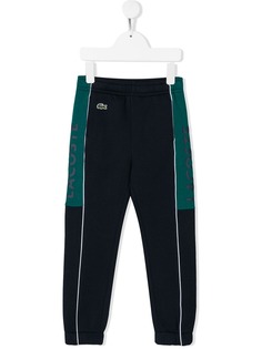 Lacoste Snik