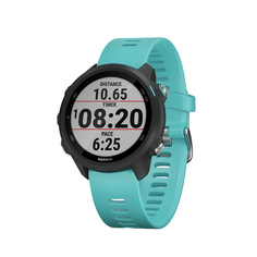 Спортивные часы Garmin Forerunner 245 Music GPS Black/Aqua