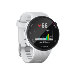 Спортивные часы Garmin Forerunner 45 GPS S White