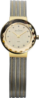 Женские часы в коллекции Leonora Женские часы Skagen 456SGS1