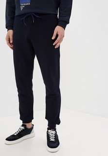 Брюки спортивные Trussardi Jeans 