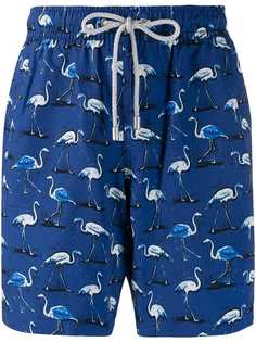 Bluemint плавки-шорты Eclipse Flamingo с принтом
