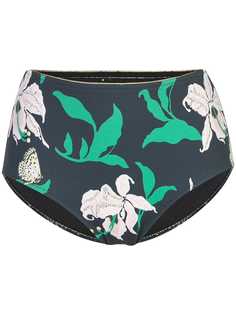 Morgan Lane плавки бикини Sadie