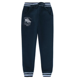 Брюки Fun Time, цвет: синий