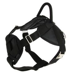 Шлейка для собак Каскад нейлоновая с грудью с металлической фурнитурой