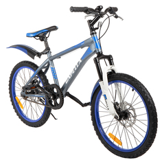 Двухколесный велосипед Capella G20S651, цвет: темно-серый/синий
