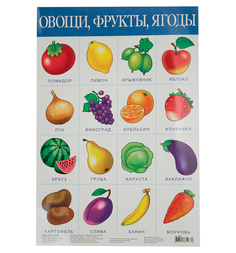 Плакат Дрофа Овощи, фрукты