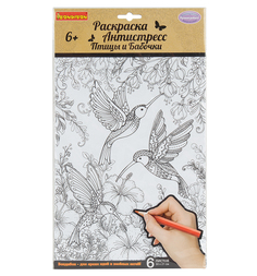 Набор раскрасок-антистресс Bondibon Птицы и Бабочки 6 листов 30х21 см