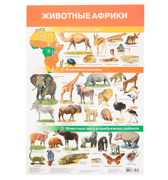 Плакат Дрофа Животные Африки