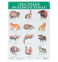 Плакат Дрофа Лесные животные