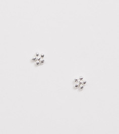 Серебряные серьги-гвоздики с цветочным дизайном Kingsley Ryan - Серебряный