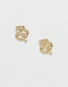 Золотистые серьги-гвоздики с дизайном в виде драконов Missguided - Золотой