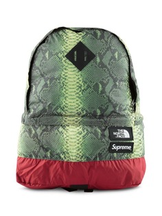 Supreme TNF Snakeskin Lightweight Day backpack