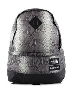Supreme TNF Snakeskin Lightweight Day backpack