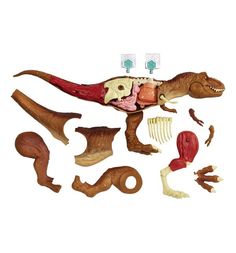 Игровой набор Jurassic World Анатомия динозавра