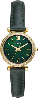 Женские часы в коллекции Carlie Mini Женские часы Fossil ES4651