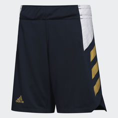 Женские шорты сборной России adidas Performance
