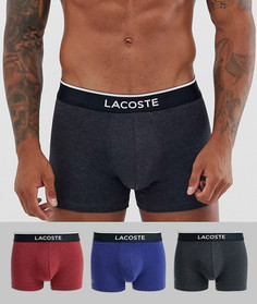 Набор из 3 эластичных хлопковых боксеров-брифов Lacoste Colours - Мульти