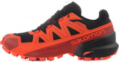 Кроссовки мужские Salomon Spikecross 5, размер 43.5