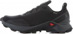 Кроссовки женские Salomon Alphacross GTX, размер 40