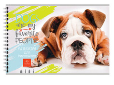 Альбом для рисования BG Dog Life А4 40 листов АР4гр40 7531