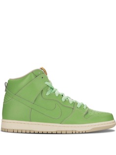 Nike кроссовки Dunk High Premium SB