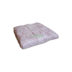 Одеяло Каригуз Легкость 172x205 (МПЛГ21-4-2.1) Kariguz