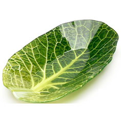 Салатник WALMER Leaf Lettuce 18 x 27 см