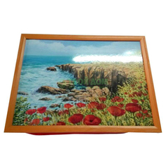 Поднос Топ арт студио с подушкой побережье норман41x31 (HSN1288-TA)