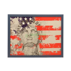 Поднос Топ арт студио Поднос с подушкой америка 41х31 см (HSN0810-TA)