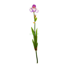 Цветы Shi shi Цветок иск ирис 97см фиолет (30550)