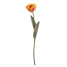 Тюльпан Триумф оранжево-красный живое прикосновение Топ Арт Студио