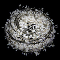 Гирлянда уличная Lotti minicluster 1000 microleds со стартовым шнуром