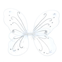 Крылья волшебная бабочка Кубера