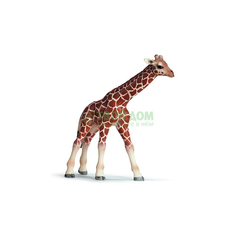 Развивающая игрушка Schleich Детеныш жирафа