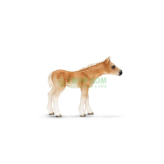Развивающая игрушка Schleich Хафлингерский жеребенок