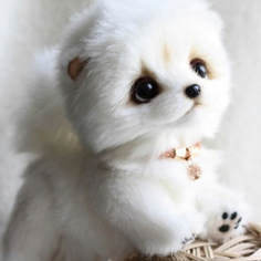 Щенок 18см Carolon тедди вайт А059