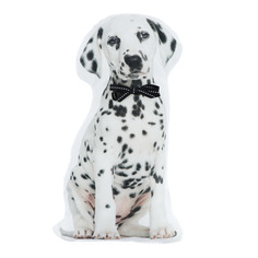 Подушка декоративная 40х20см Apolena долматинец