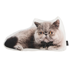 Подушка декоративная 40х20см Apolena кот серый