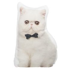 Подушка декоративная 40х20см Apolena кот белый