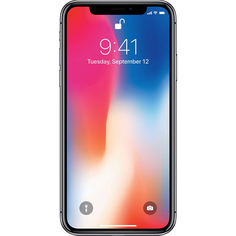 Смартфон Apple iPhone X 64GB Space Gray