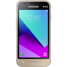 Смартфон Samsung Galaxy J1 mini prime SM-J106F/DS Gold