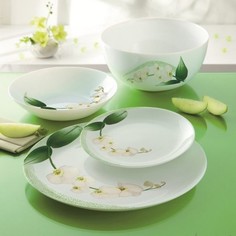 Сервиз столовый 19 предметов Luminarc diwali white orchid