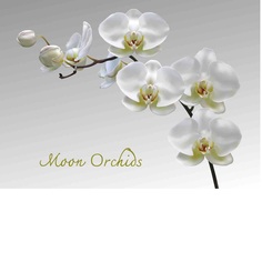 Набор подставок на пробке Top Art лунная орхидея 40х29см 4 штуки