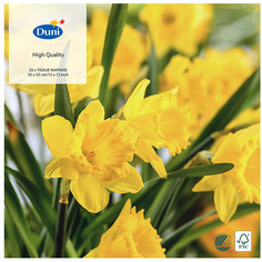 Салфетки Duni Easter Daffodils 33х33 см 20 шт