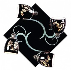 Спот OM-223 OML-22312-04 Omnilux