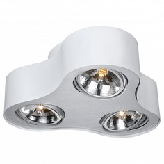 Накладной светильник Cliff A5643PL-3WH Arte Lamp